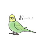 セキセイインコの可愛い1日(グリーン)（個別スタンプ：2）