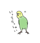セキセイインコの可愛い1日(グリーン)（個別スタンプ：3）