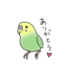 セキセイインコの可愛い1日(グリーン)（個別スタンプ：6）