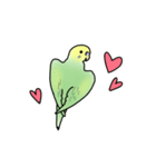 セキセイインコの可愛い1日(グリーン)（個別スタンプ：7）