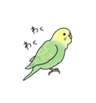 セキセイインコの可愛い1日(グリーン)（個別スタンプ：8）
