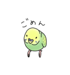 セキセイインコの可愛い1日(グリーン)（個別スタンプ：9）