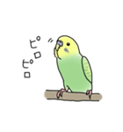 セキセイインコの可愛い1日(グリーン)（個別スタンプ：10）