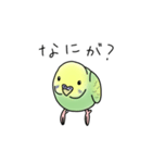 セキセイインコの可愛い1日(グリーン)（個別スタンプ：11）