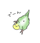 セキセイインコの可愛い1日(グリーン)（個別スタンプ：14）
