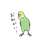 セキセイインコの可愛い1日(グリーン)（個別スタンプ：15）