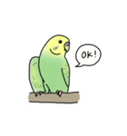 セキセイインコの可愛い1日(グリーン)（個別スタンプ：17）