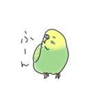セキセイインコの可愛い1日(グリーン)（個別スタンプ：18）