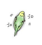 セキセイインコの可愛い1日(グリーン)（個別スタンプ：19）
