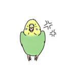 セキセイインコの可愛い1日(グリーン)（個別スタンプ：21）