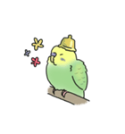 セキセイインコの可愛い1日(グリーン)（個別スタンプ：22）