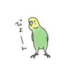 セキセイインコの可愛い1日(グリーン)（個別スタンプ：25）