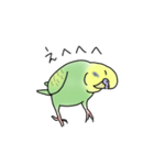 セキセイインコの可愛い1日(グリーン)（個別スタンプ：26）