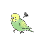 セキセイインコの可愛い1日(グリーン)（個別スタンプ：27）