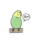 セキセイインコの可愛い1日(グリーン)（個別スタンプ：28）