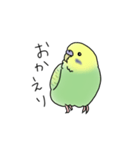 セキセイインコの可愛い1日(グリーン)（個別スタンプ：29）