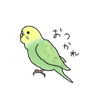 セキセイインコの可愛い1日(グリーン)（個別スタンプ：30）