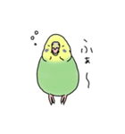 セキセイインコの可愛い1日(グリーン)（個別スタンプ：31）