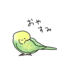 セキセイインコの可愛い1日(グリーン)（個別スタンプ：32）