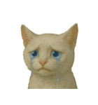 ポルチェのほのぼのイラスト（個別スタンプ：2）
