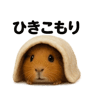 ぐでぐでモルモットの日常スタンプ（個別スタンプ：4）