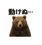 ぐでぐでヒグマの日常スタンプ【リアル系】（個別スタンプ：9）