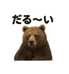 ぐでぐでヒグマの日常スタンプ【リアル系】（個別スタンプ：11）