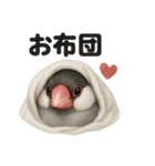 ぐでぐで文鳥の日常スタンプ【リアル系】（個別スタンプ：2）