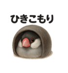 ぐでぐで文鳥の日常スタンプ【リアル系】（個別スタンプ：4）