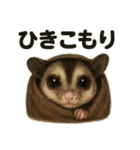 ぐでぐでフクロモモンガの日常スタンプ（個別スタンプ：4）