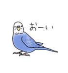 セキセイインコの可愛い1日（ブルー）（個別スタンプ：2）