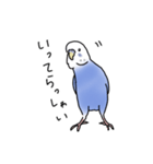 セキセイインコの可愛い1日（ブルー）（個別スタンプ：3）