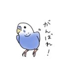 セキセイインコの可愛い1日（ブルー）（個別スタンプ：5）
