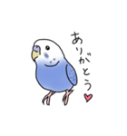 セキセイインコの可愛い1日（ブルー）（個別スタンプ：6）