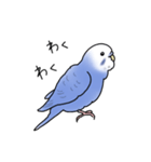 セキセイインコの可愛い1日（ブルー）（個別スタンプ：8）