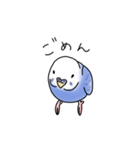 セキセイインコの可愛い1日（ブルー）（個別スタンプ：9）