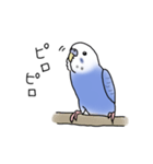 セキセイインコの可愛い1日（ブルー）（個別スタンプ：10）