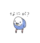 セキセイインコの可愛い1日（ブルー）（個別スタンプ：11）