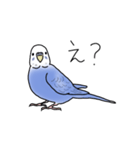 セキセイインコの可愛い1日（ブルー）（個別スタンプ：12）
