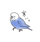 セキセイインコの可愛い1日（ブルー）（個別スタンプ：16）