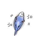 セキセイインコの可愛い1日（ブルー）（個別スタンプ：19）