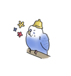 セキセイインコの可愛い1日（ブルー）（個別スタンプ：22）