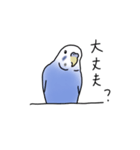 セキセイインコの可愛い1日（ブルー）（個別スタンプ：24）