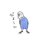 セキセイインコの可愛い1日（ブルー）（個別スタンプ：25）