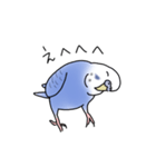 セキセイインコの可愛い1日（ブルー）（個別スタンプ：26）