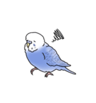 セキセイインコの可愛い1日（ブルー）（個別スタンプ：27）