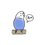 セキセイインコの可愛い1日（ブルー）（個別スタンプ：28）