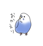セキセイインコの可愛い1日（ブルー）（個別スタンプ：29）