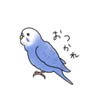 セキセイインコの可愛い1日（ブルー）（個別スタンプ：30）