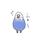 セキセイインコの可愛い1日（ブルー）（個別スタンプ：31）